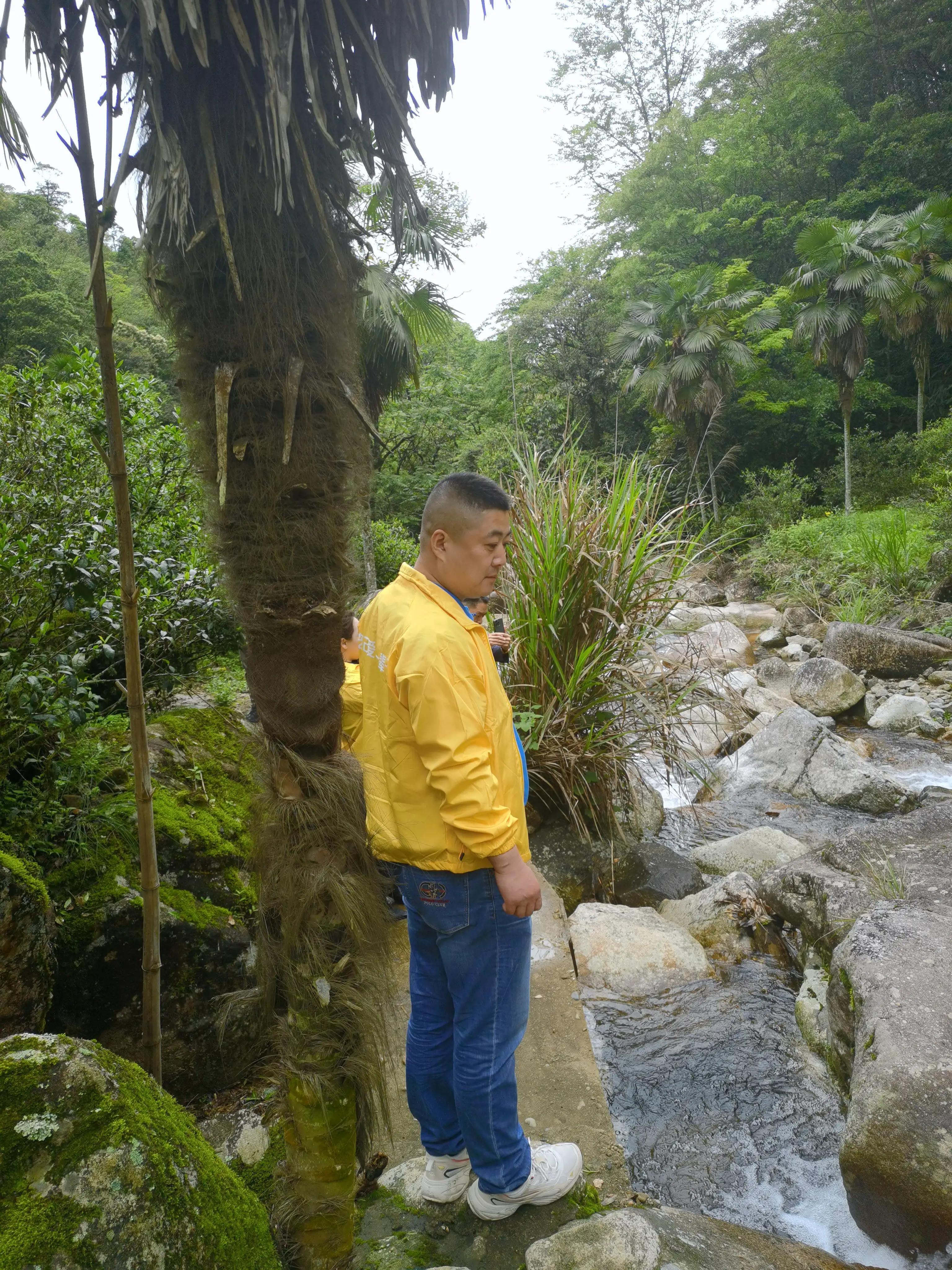 怎么加盟武夷山大红袍品牌,济南茶叶加盟合作哪家安全