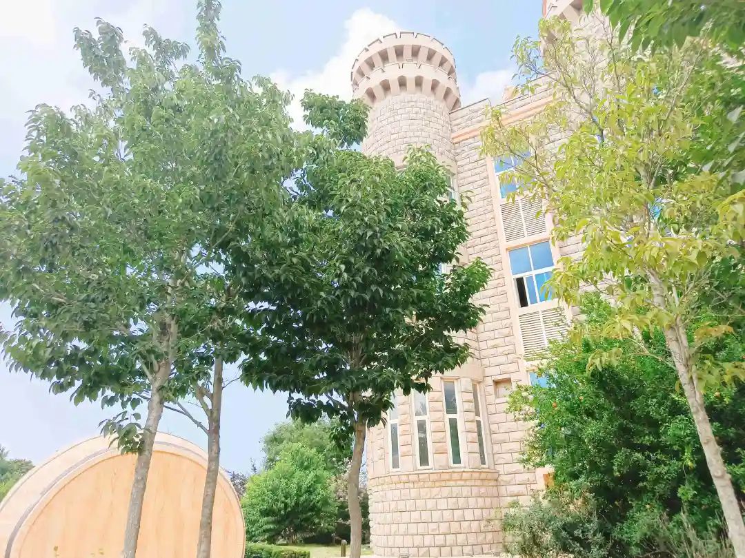 烟台让世界微醺,烟台开发区西夫拉姆酒场