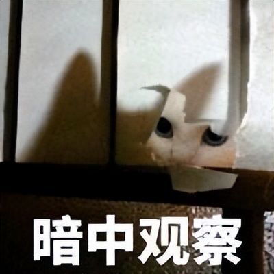 去日本读硕士，一年究竟要花多少钱才够？