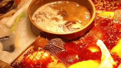 抓住秋天摘苹果,抓住秋天的尾巴赏红叶