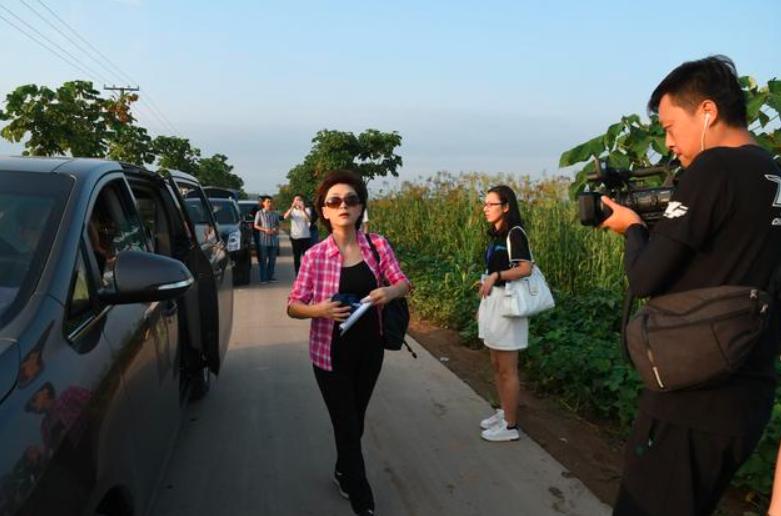 国脸女主持人海霞,央视美女主播海霞图片