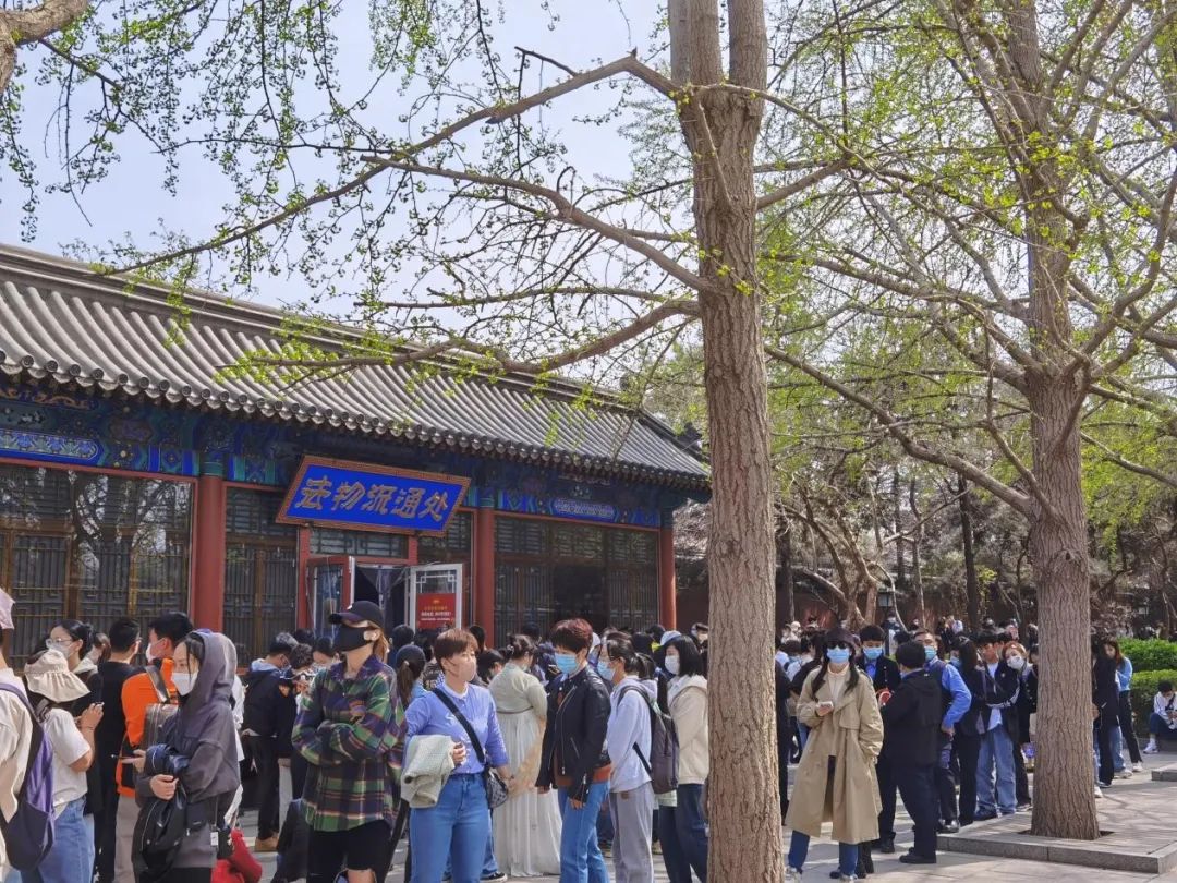 抢不到手串的年轻人,躲在寺庙喝咖啡