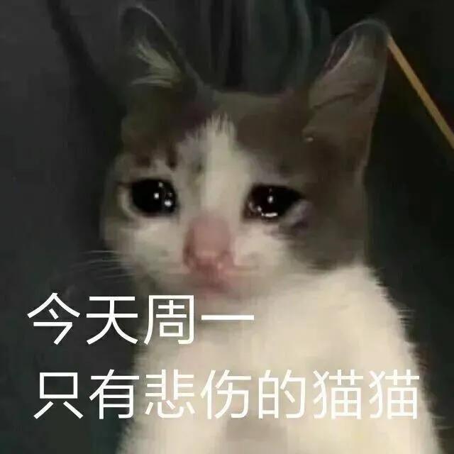 周一上班困表情包,又来一个星期天了表情包