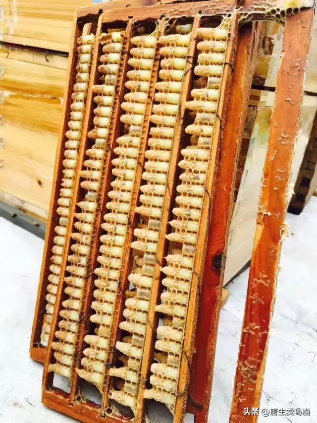 蜂王浆与王浆有什么不同,蜂王浆是什么东西产生的