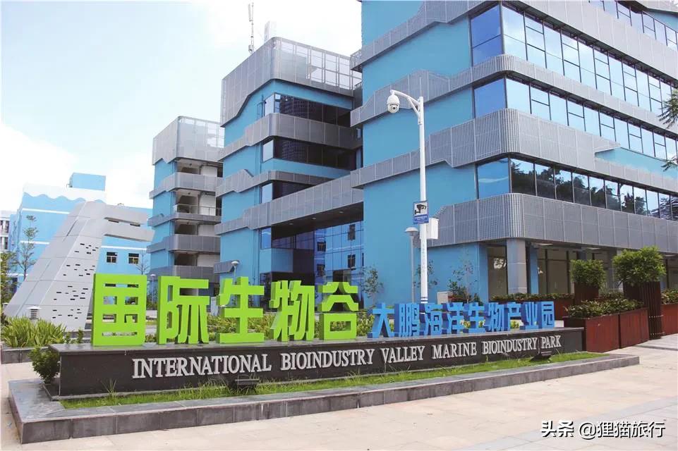 深圳的排牙山,排牙山深圳市