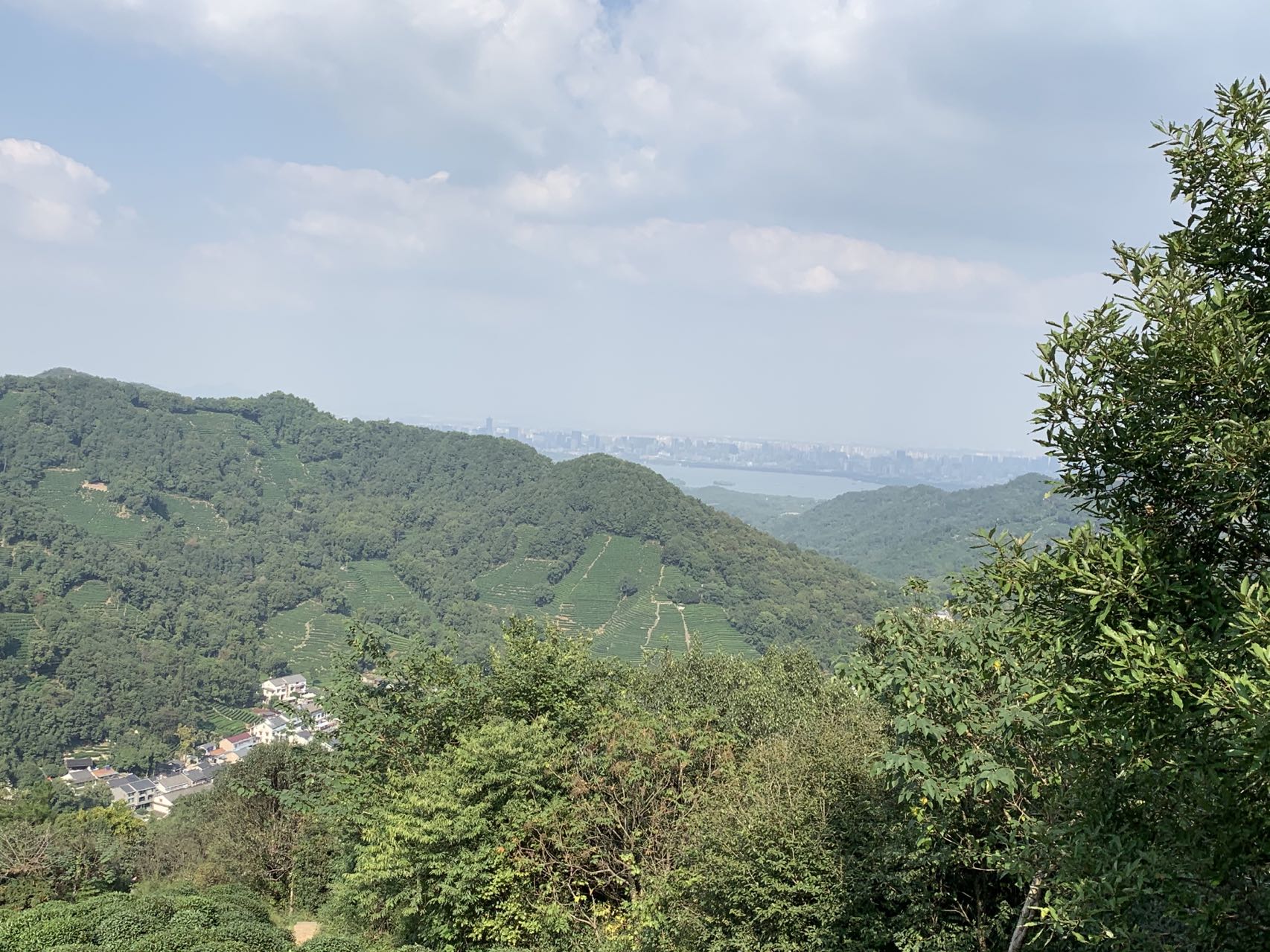 如何解决山林权属纠纷,山林权属纠纷的问题