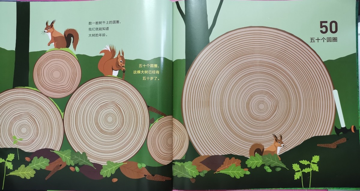 绘本和我一起数星星,儿童绘本推荐3-6岁星星主题