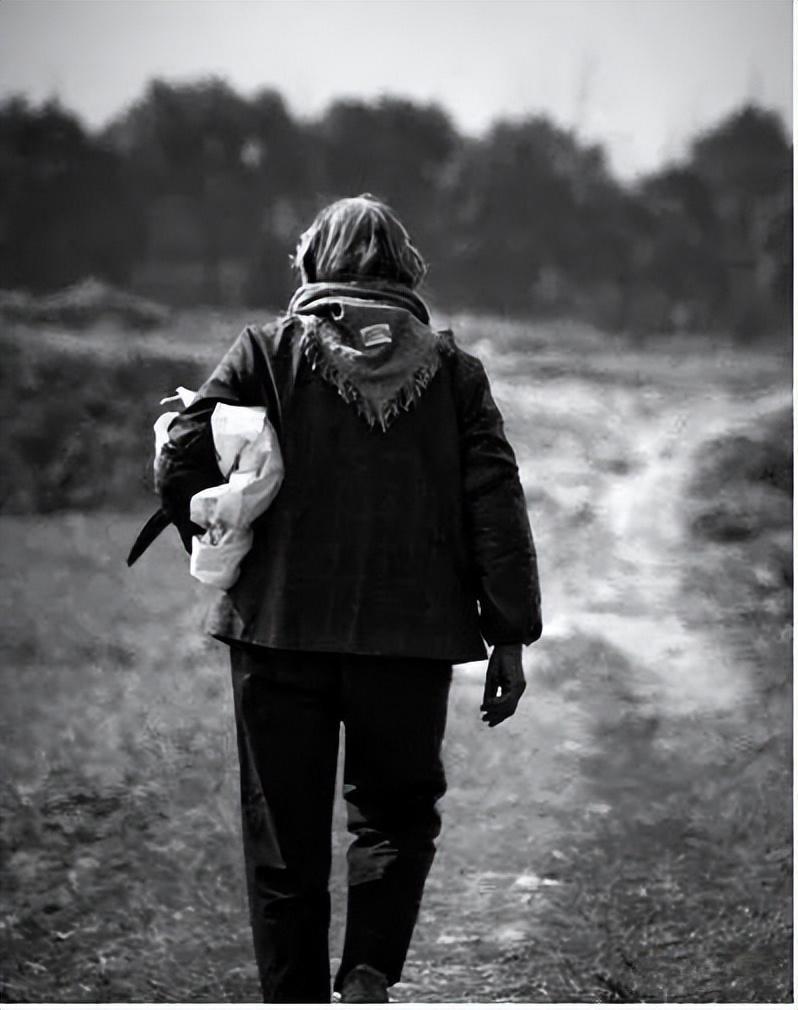 我的母亲并不伟大语录,我的母亲不爱我