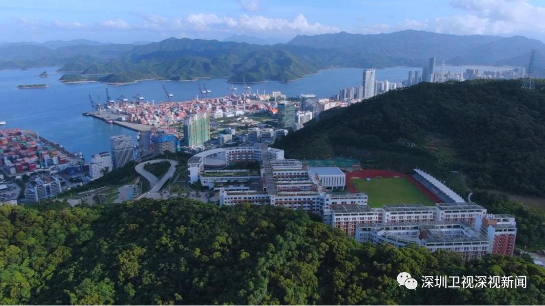 从中英街“大变身”,窥见深港消费新“王牌”