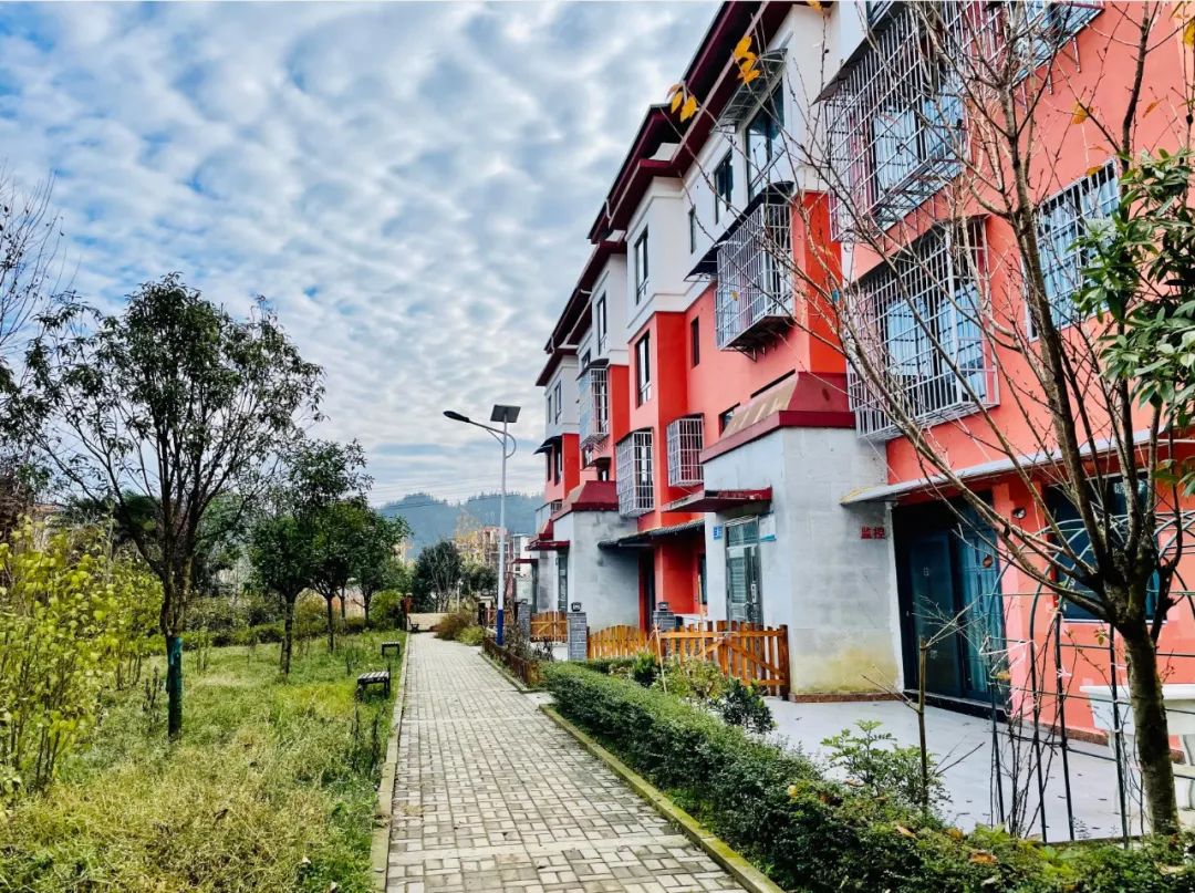 被疫情偷走的这两年故事,被疫情偷走的青春话题