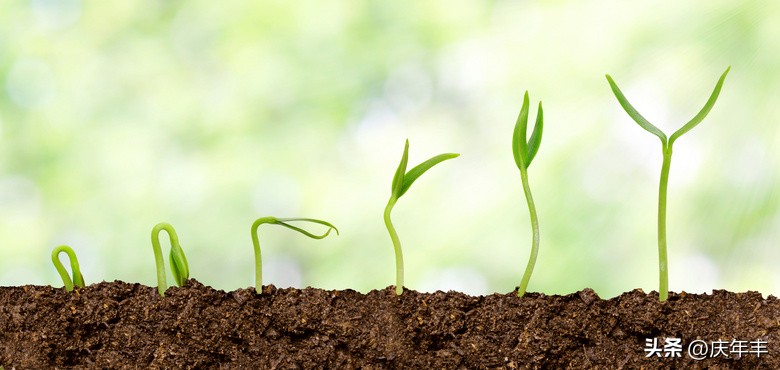 播种时覆土厚度一定要适宜为什么,播种时对土壤的要求