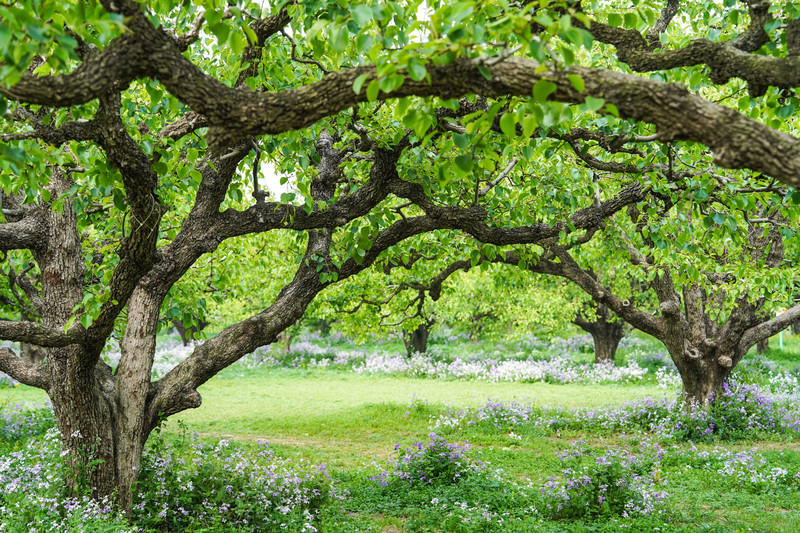 宿州两日游,安徽宿州一日游推荐