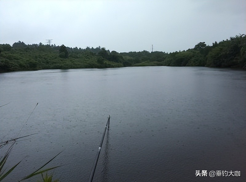 3.6米巨物竿哪个牌子好,价格便宜又好用的巨物竿