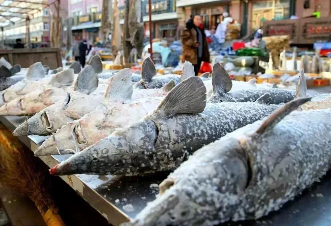 东北旅游吃江鱼哪里好,抚远东极鱼市详细攻略