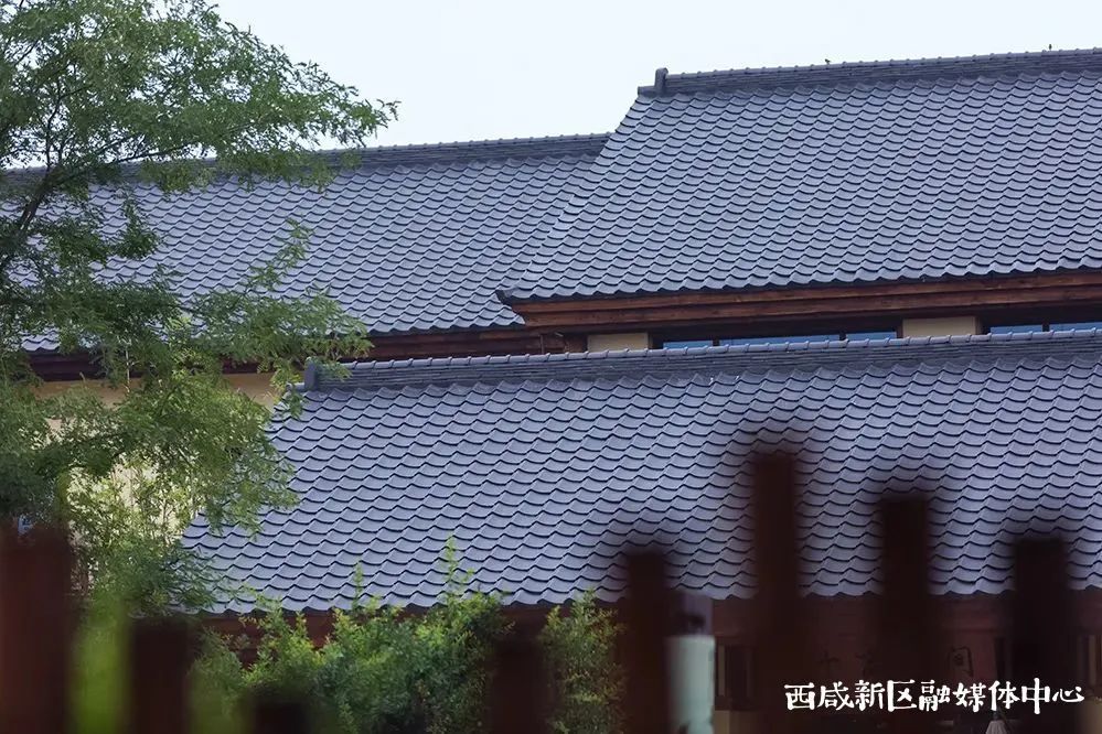 10家精品民宿推荐,东山岛民宿推荐10家