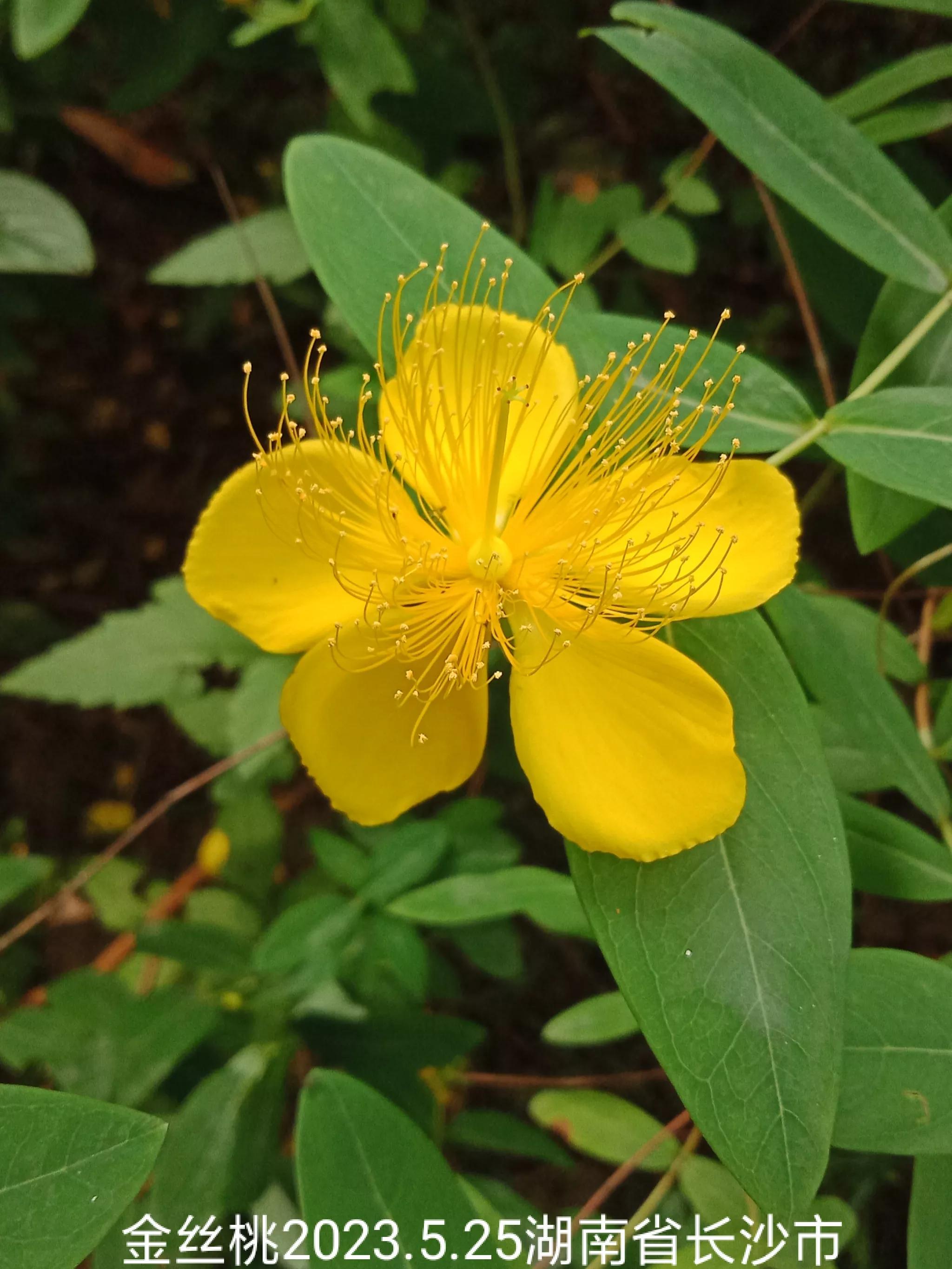 怎么找回没保存丢失的微信群,怎么找回没有保存的微信群