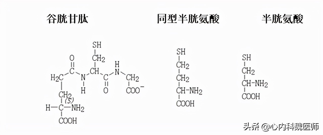 脑梗病人吃叶酸和b12b6起什么作用,老年人预防脑梗如何补充叶酸和b12