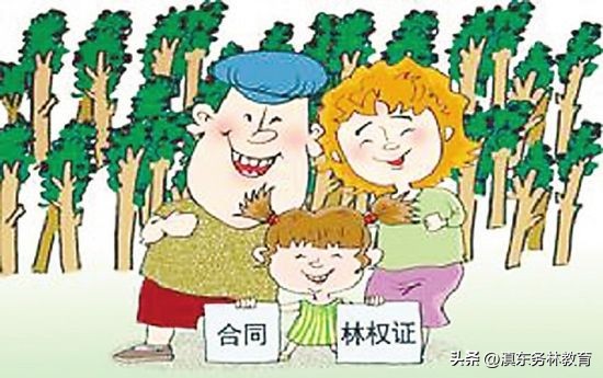 林权证到期续期的法律规定,林权证到期怎么办续期