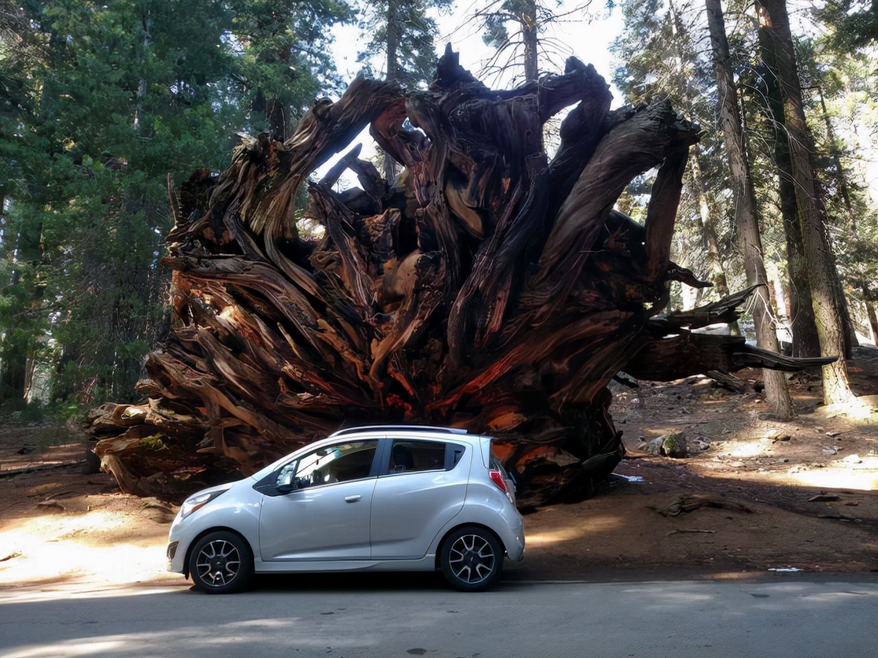 80张神奇偶然瞬间，环形闪电，海蛇和最毒石斑鱼互咬，骑骆驼拍照