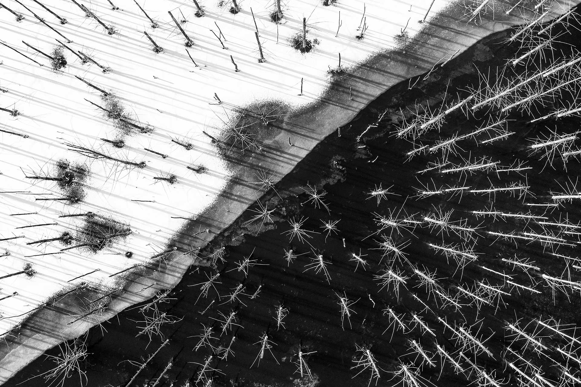 自然就是美,自然就是美歌曲