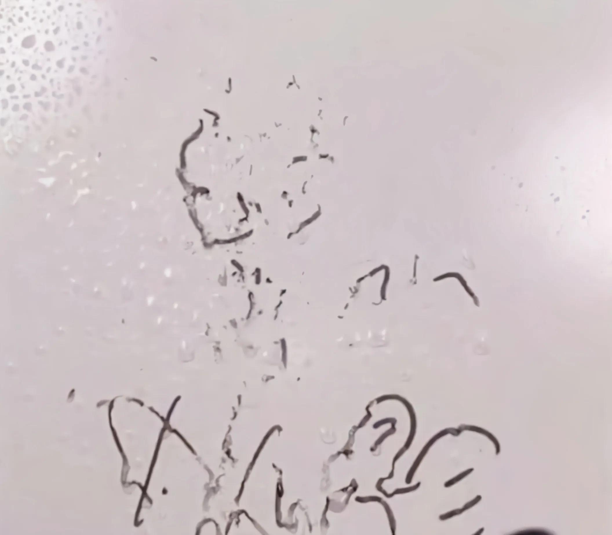 刀具生锈用这个办法清洗,刀具生锈怎么修复