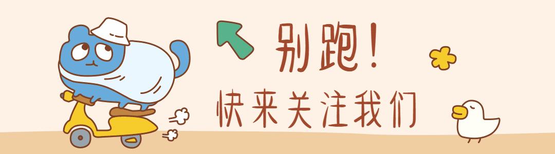 养狗首选这几种忠诚又好养,新手养狗建议养这几种好养又省事