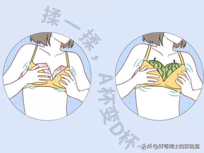 女生的胸，为啥不能乱揉？自己揉也不行！