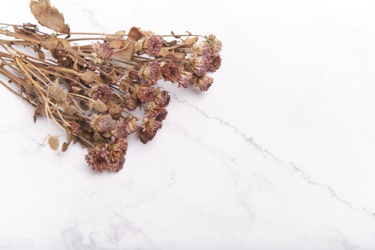 给客户的一封感谢信,致尊敬客户的一封信