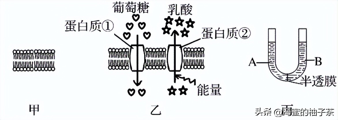 探索人工多酶网络构建代谢的优势:一种新的途径吗？