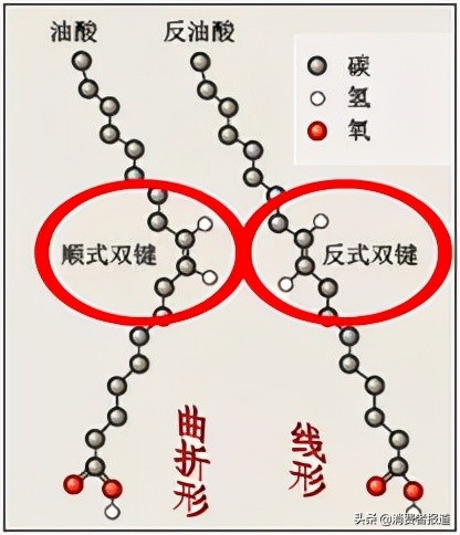 怎么样避免反式脂肪酸的摄入,摄入过多的反式脂肪酸会怎么样呢