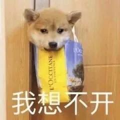 偶尔幽默的文案,认识一下幽默文案