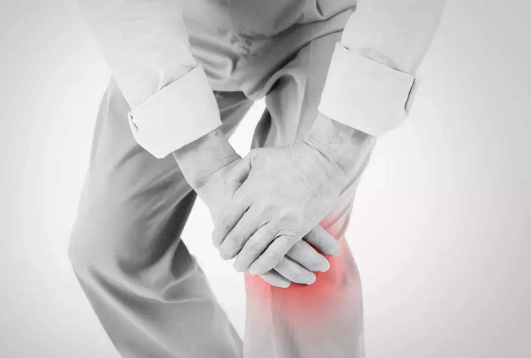 二陈丸的最佳搭配补肾药,二陈丸配合什么药减肥效果好