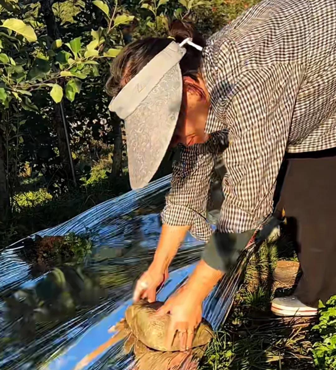 山东姑娘远嫁日本农村,山东姑娘远嫁大山的生活