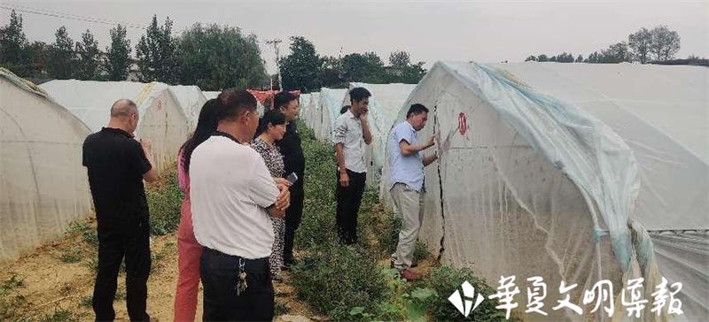 小蚂蚱串起产业链,小蚂蚱致富