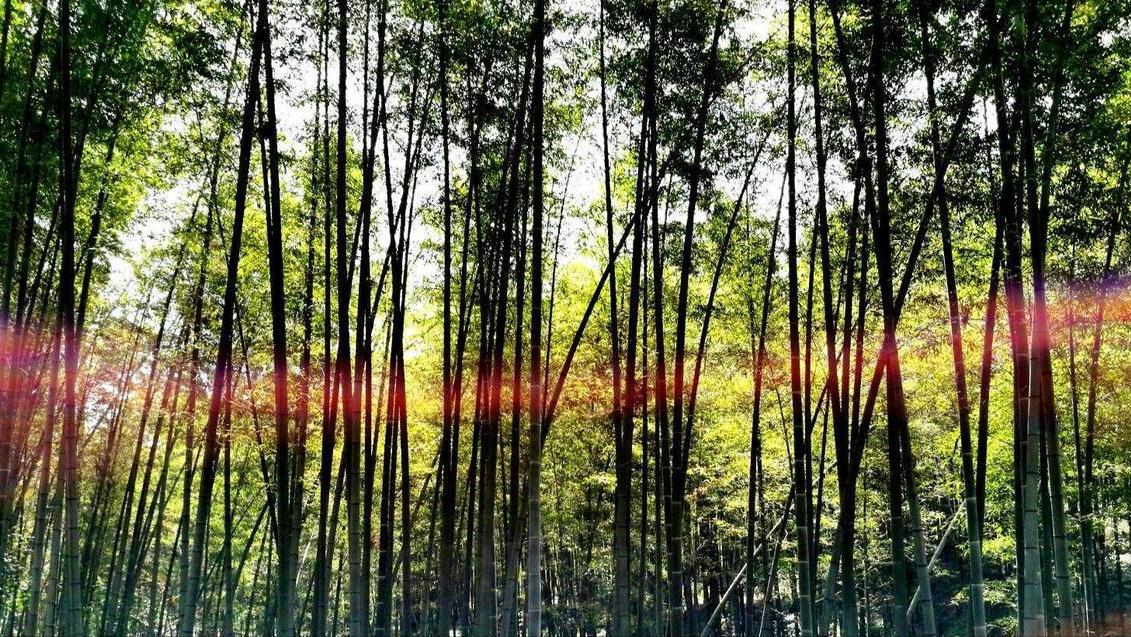 *光春**轻轻地锁住了我和你