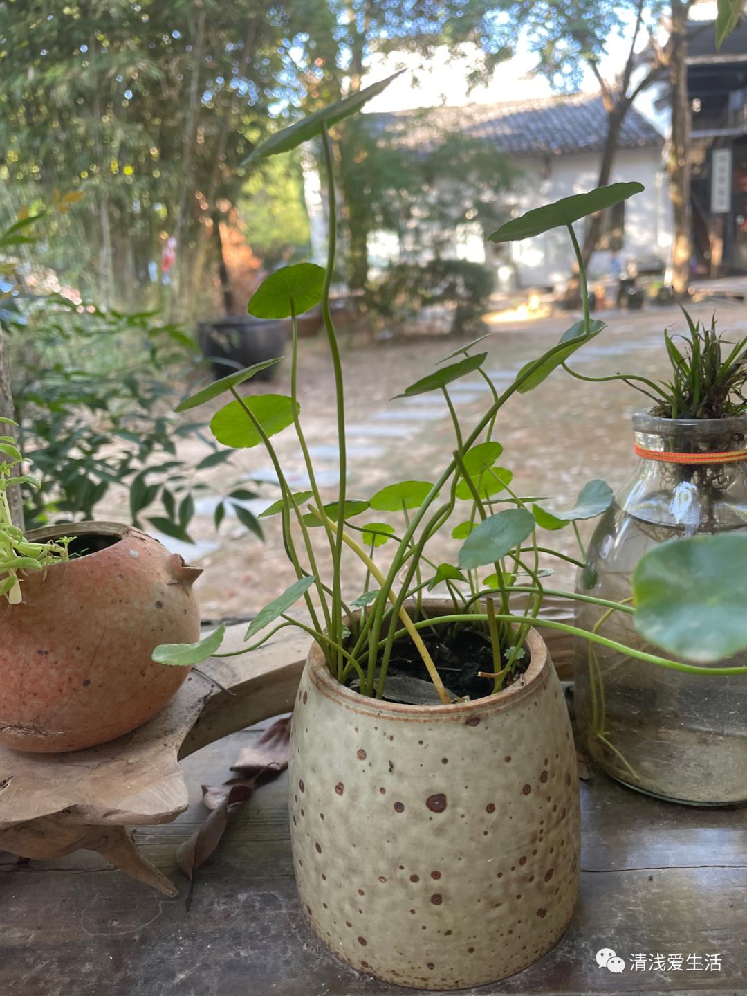 景德镇六大陶瓷市场,聊聊景德镇陶瓷市场