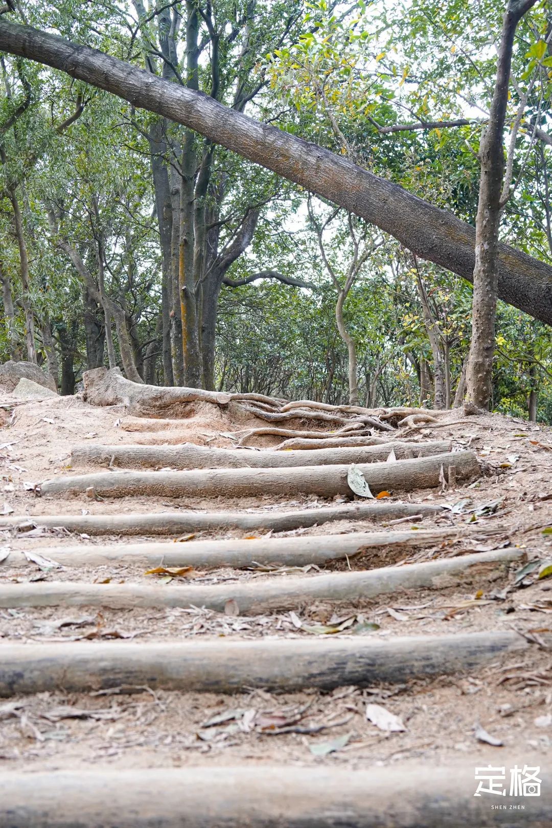 深圳10个小众打卡地,深圳十大免费打卡地