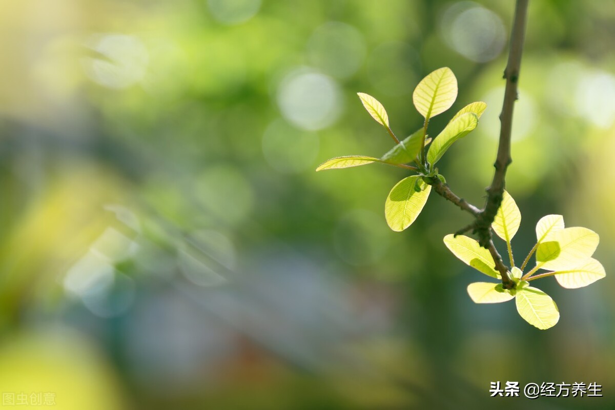 中医养生亚健康防治心得,中医调理身体亲身经历