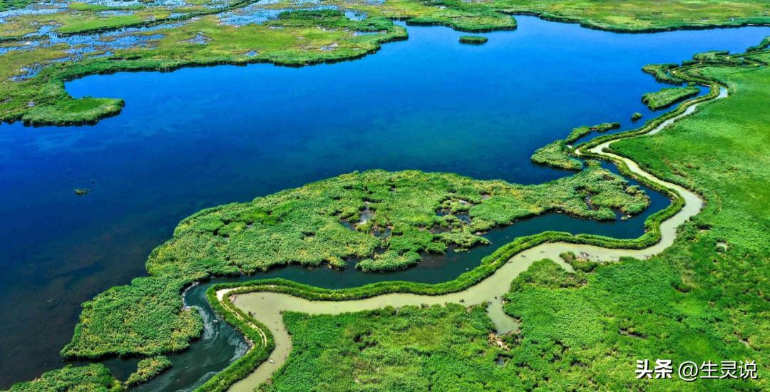 戈壁西瓜现状如何,戈壁西瓜种植技术