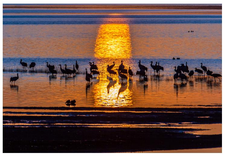 周崇光介绍,周崇光图文