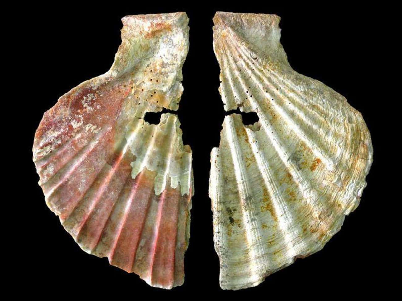 改写中国历史的考古重大发现排名,颠覆认知揭考古史上九大震惊发现