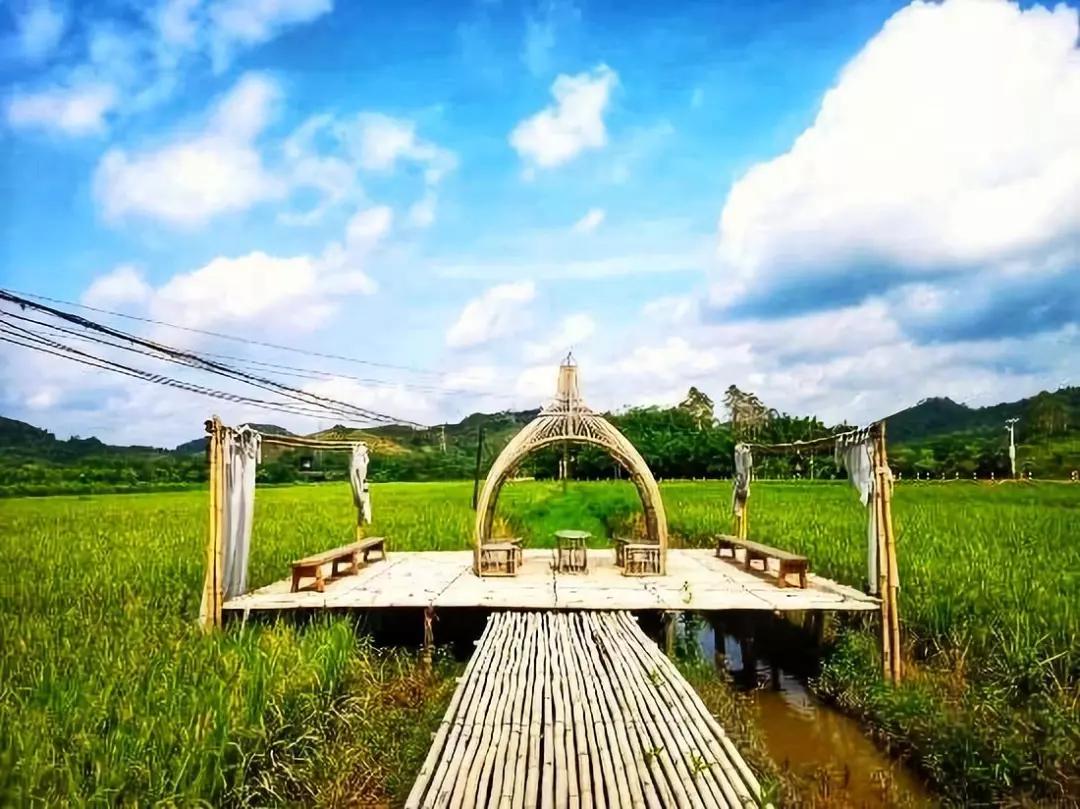 增城小众山野田园民宿,广州增城新晋网红民宿出炉