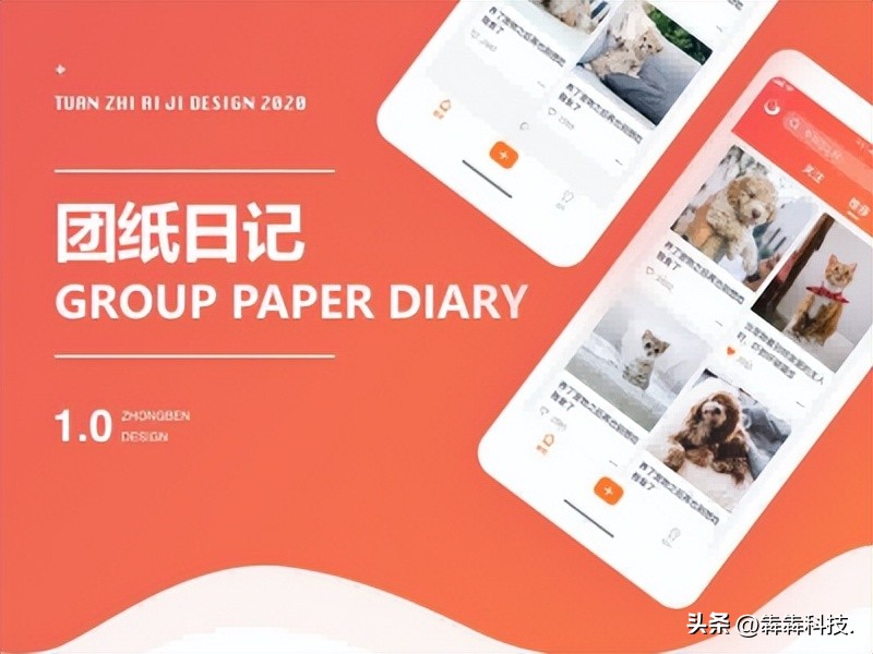 宠物粮批发怎么做,宠物粮代发网站