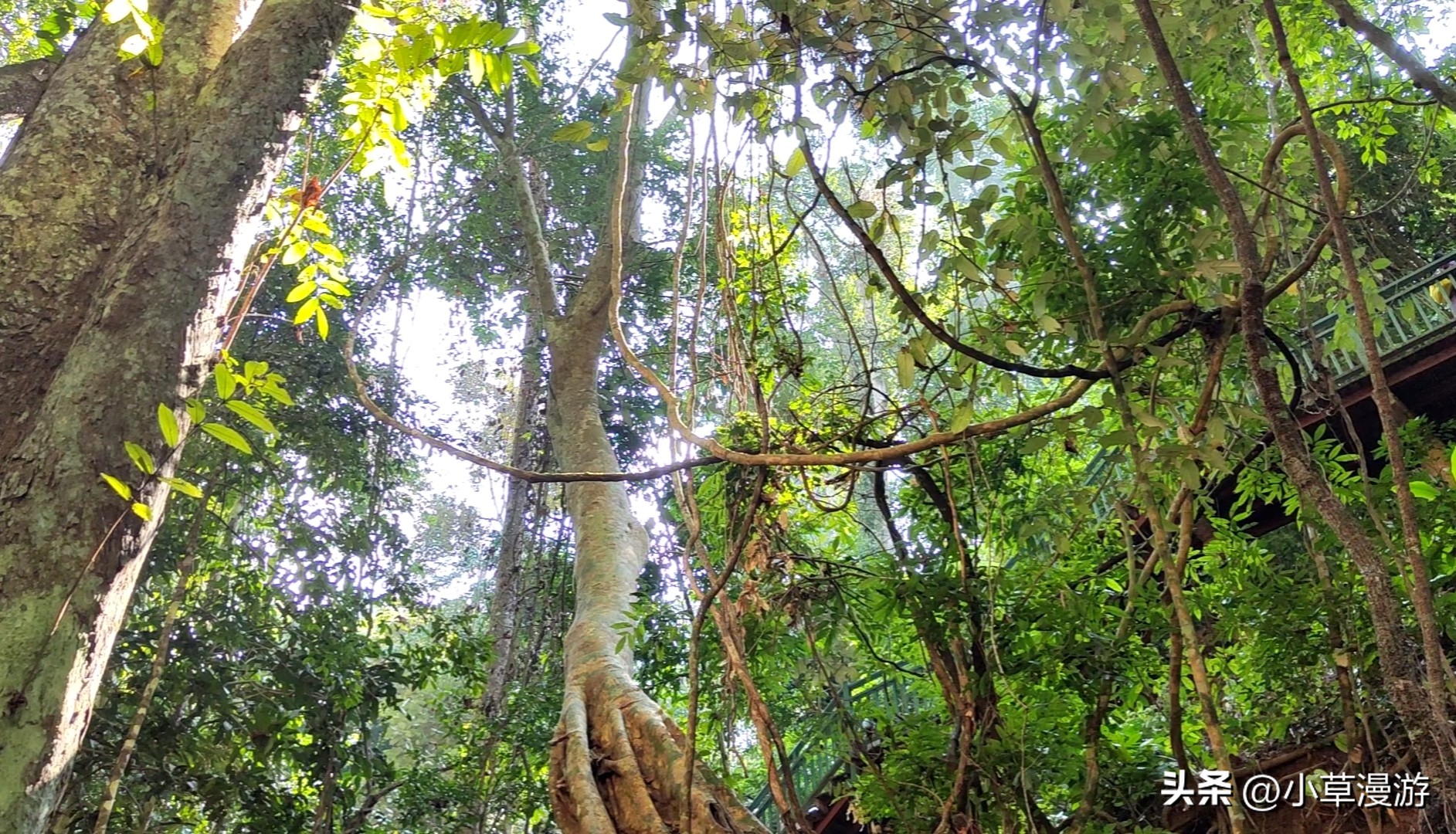 2023年的第一场旅行你将奔赴何方,开启2023年第一场旅行第三站