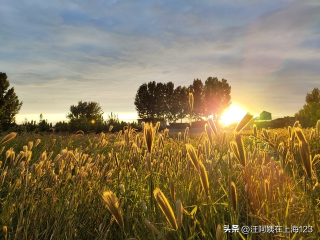 现在得新冠得几天好转啊,得了新冠半个多月一直恶心