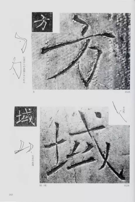 宸ョ瑪鐢绘潹鏅箟鐢诲唽,鏉滈箖鏉ㄦ櫘涔夊畬鏁寸増