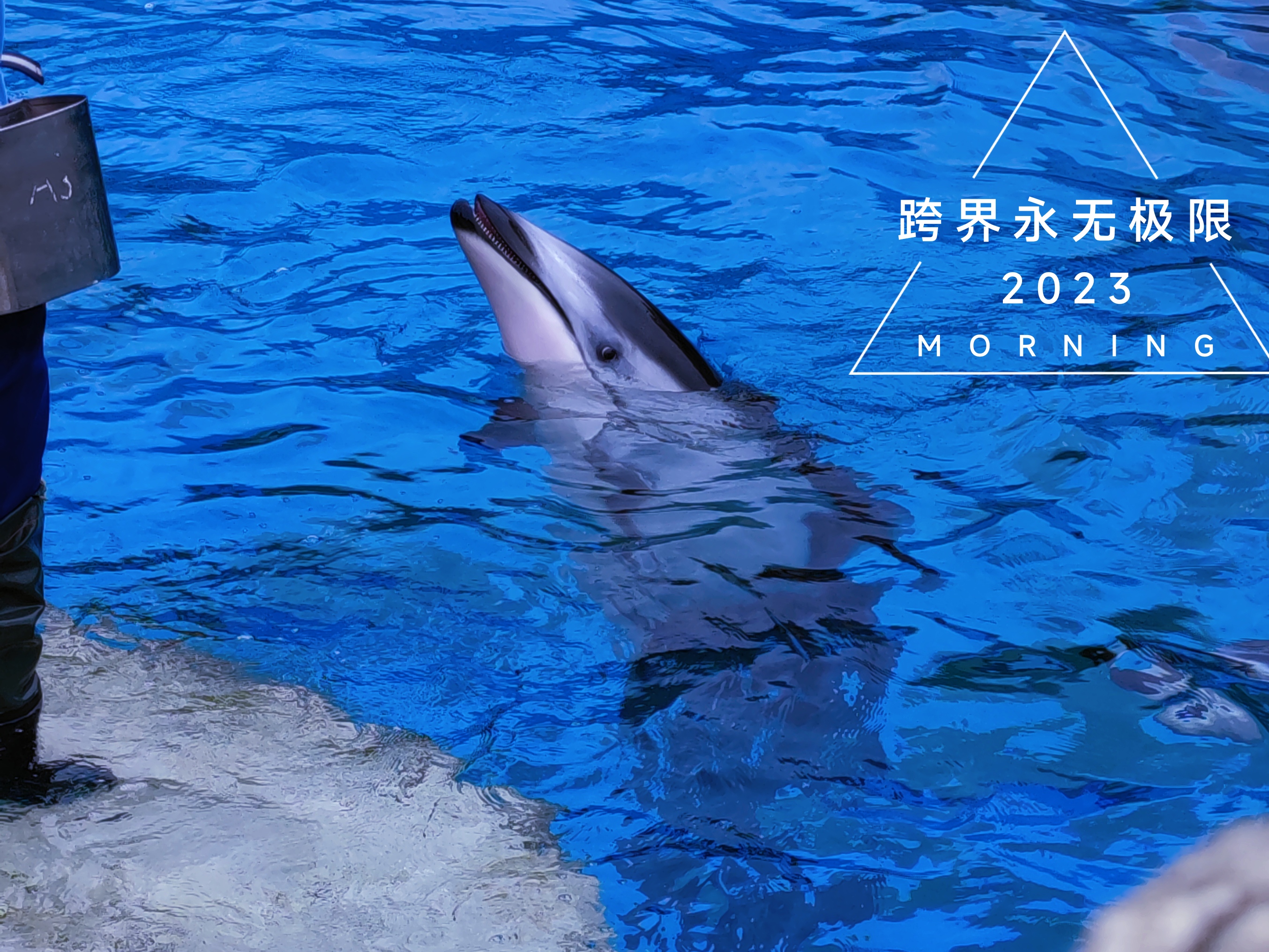 珠海长隆海洋王国鲸鱼,珠海长隆海洋王国门票