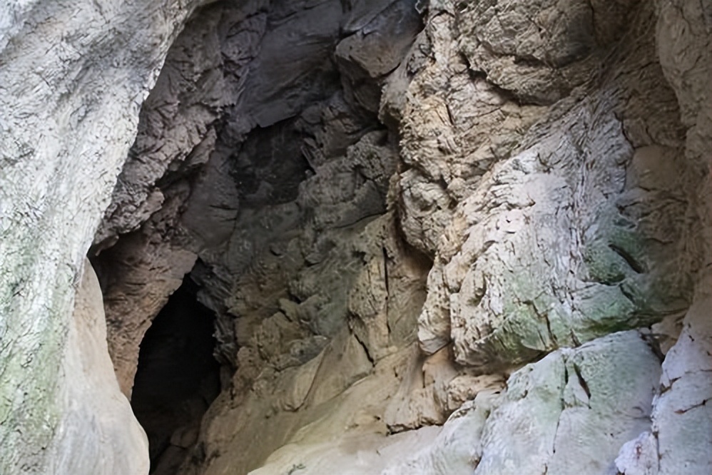 小伙捡到一块长满“金子”的石头,男子散步捡到会发光的石头给20万