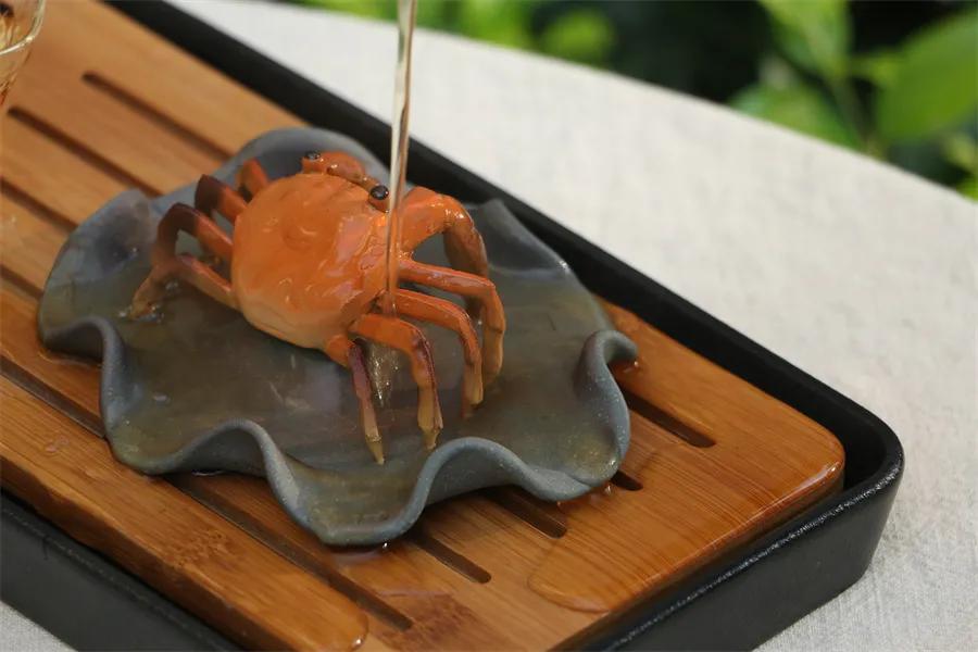 喝茶初学者茶具都选什么,喝茶茶具收纳窍门视频教程