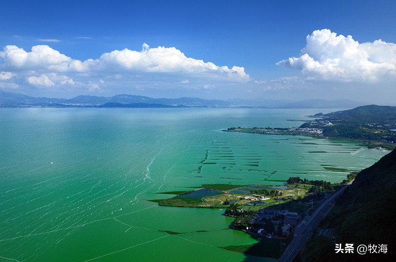 滇池蓝藻治理花费,官方回应滇池池水变绿蓝藻泛滥